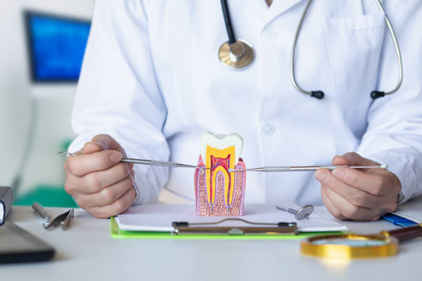 Best Broken or Chipped Tooth Repair in Ontario, CA